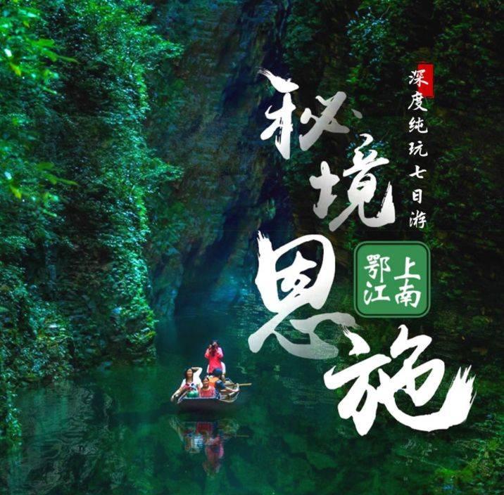 逃出茂密的丛林